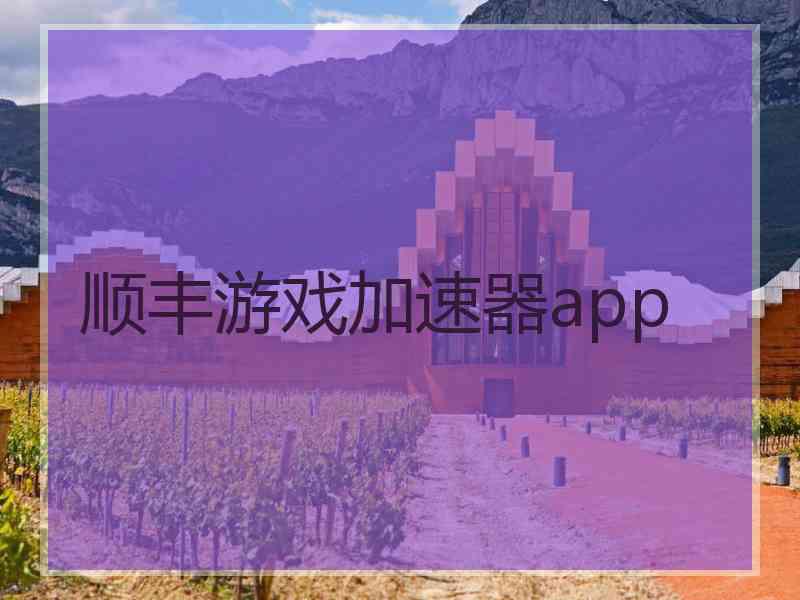 顺丰游戏加速器app