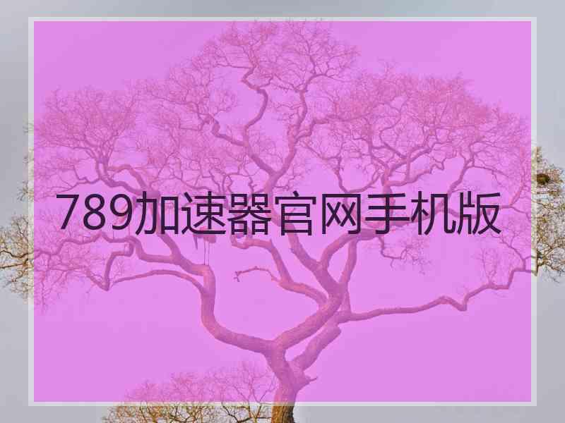 789加速器官网手机版