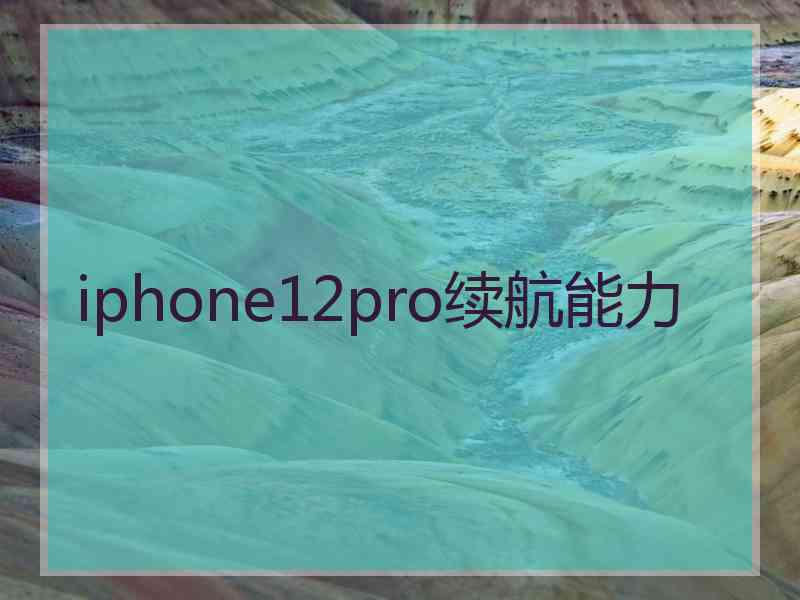 iphone12pro续航能力