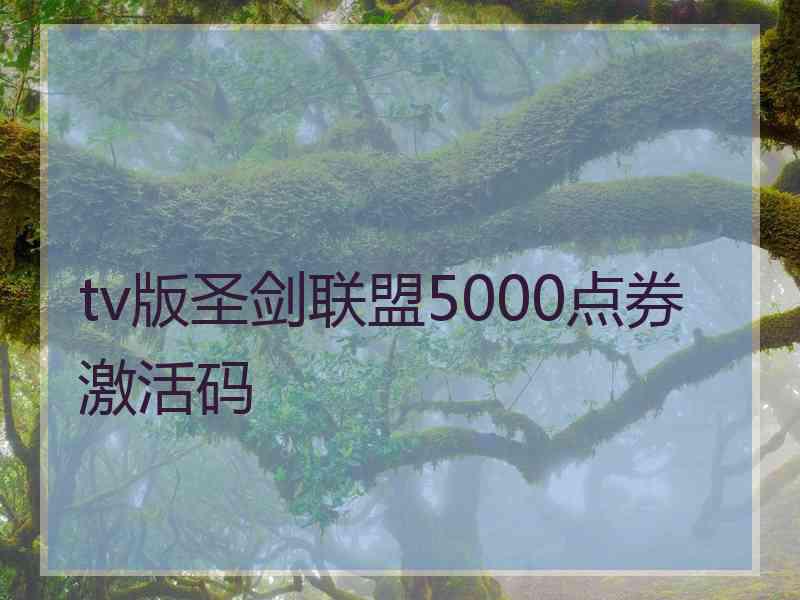 tv版圣剑联盟5000点券激活码