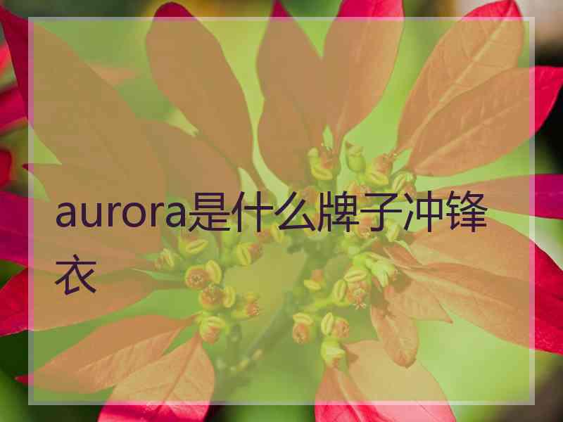 aurora是什么牌子冲锋衣