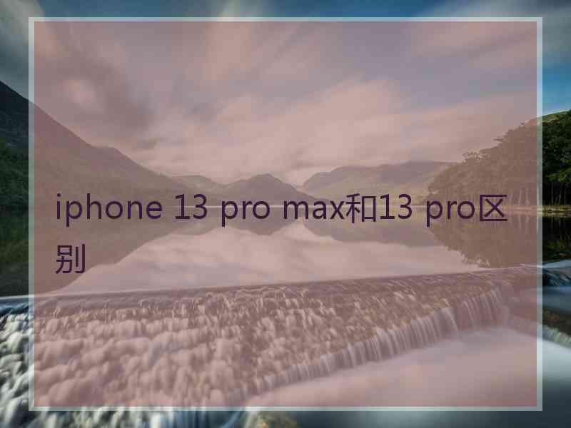 iphone 13 pro max和13 pro区别