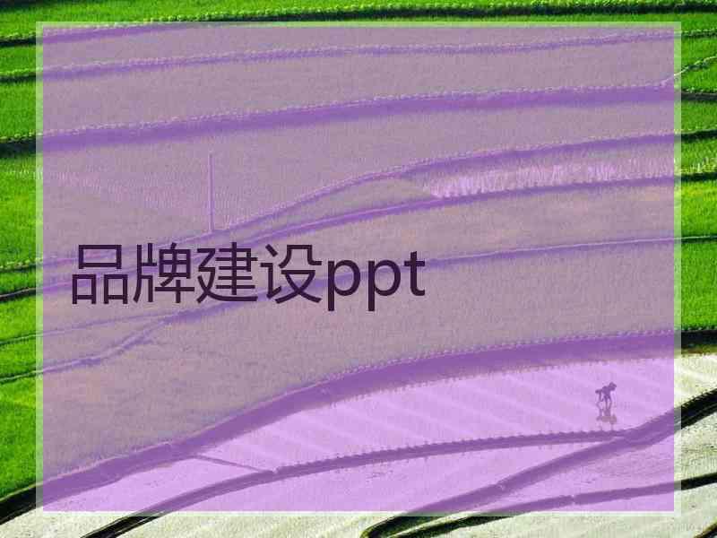 品牌建设ppt