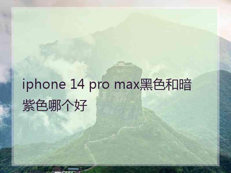 iphone 14 pro max黑色和暗紫色哪个好