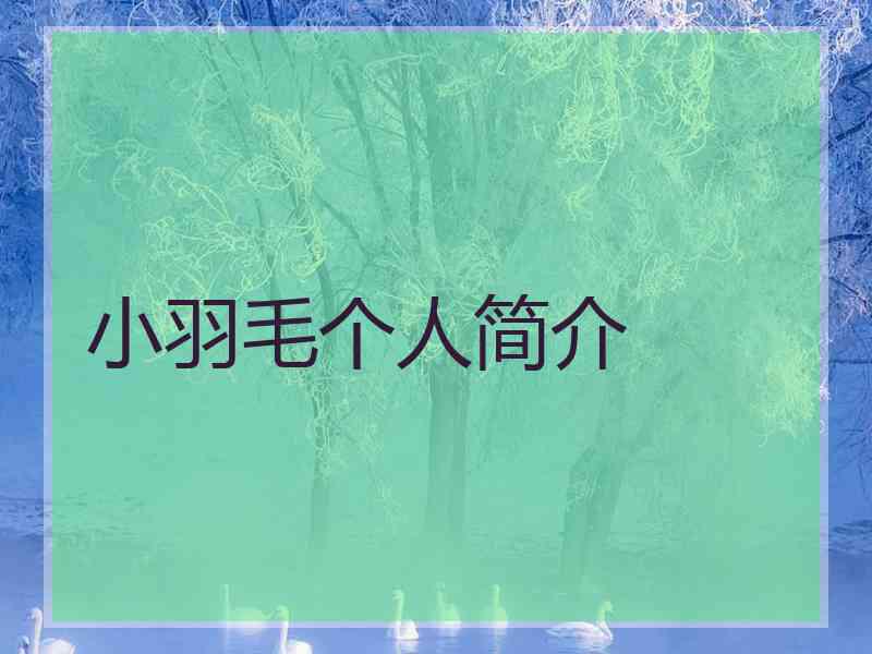 小羽毛个人简介