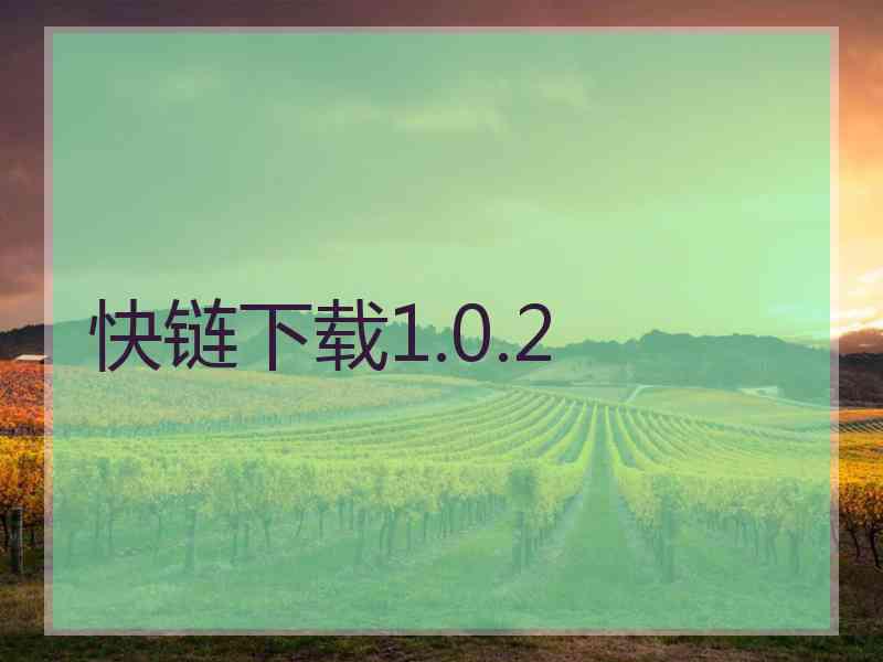 快链下载1.0.2