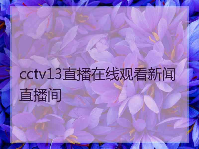 cctv13直播在线观看新闻直播间