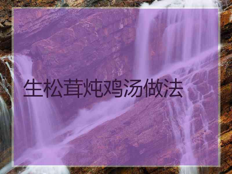 生松茸炖鸡汤做法