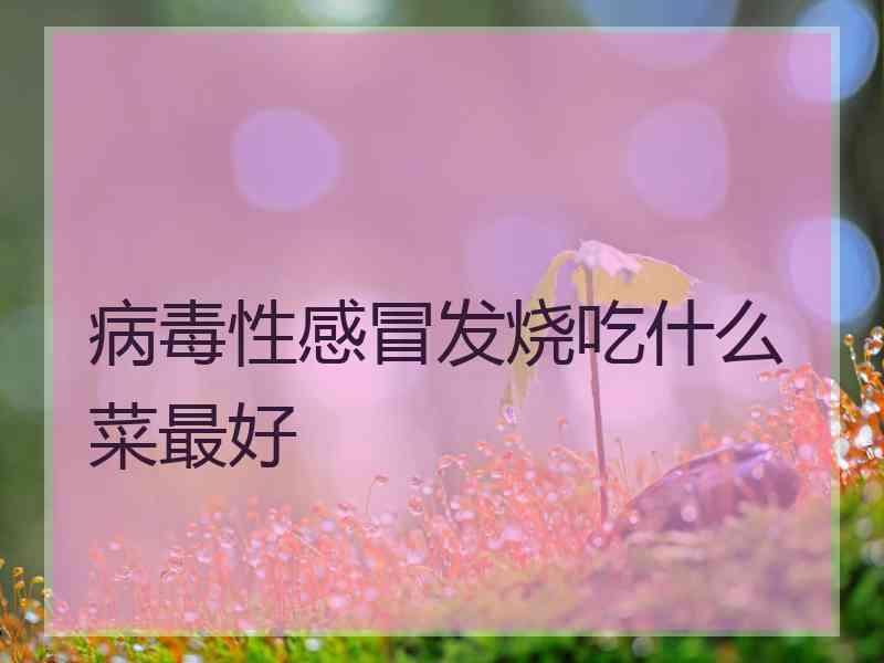 病毒性感冒发烧吃什么菜最好