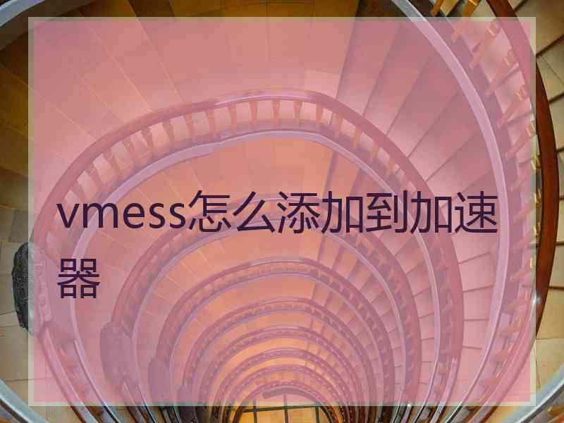 vmess怎么添加到加速器