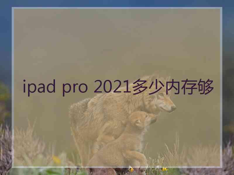 ipad pro 2021多少内存够