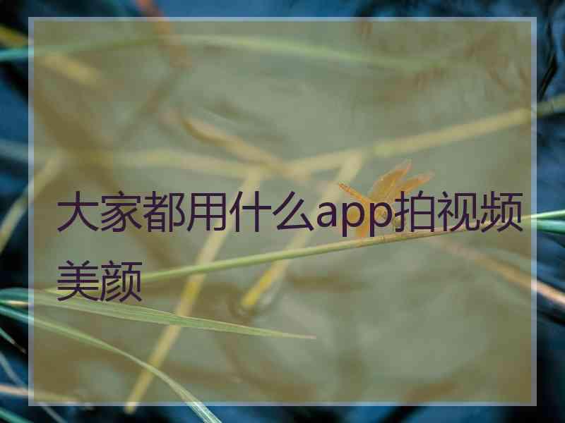 大家都用什么app拍视频美颜