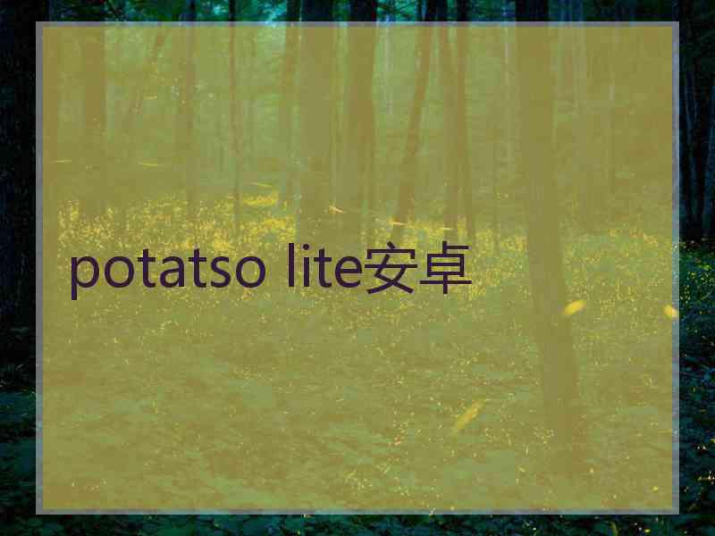 potatso lite安卓