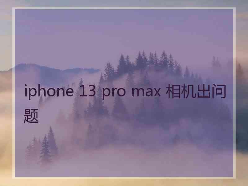 iphone 13 pro max 相机出问题