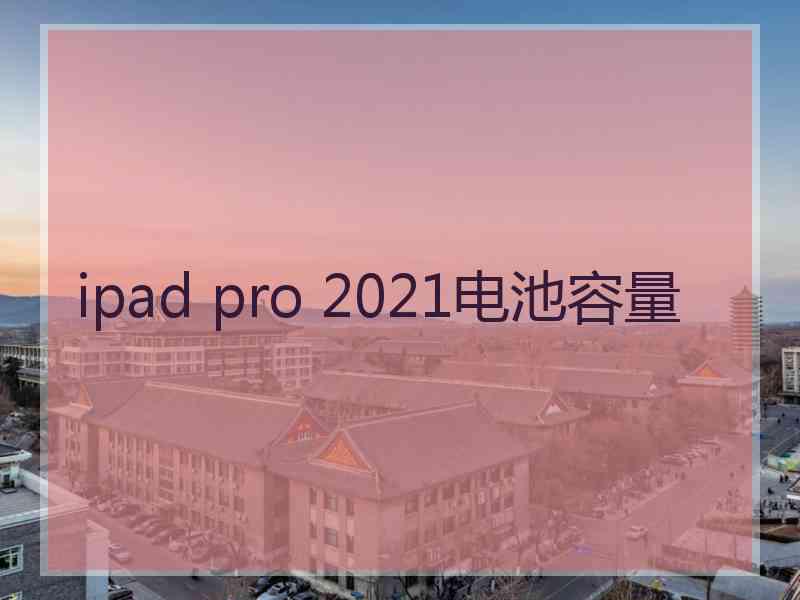 ipad pro 2021电池容量