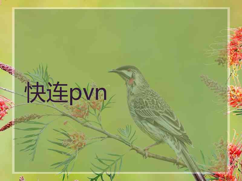 快连pvn