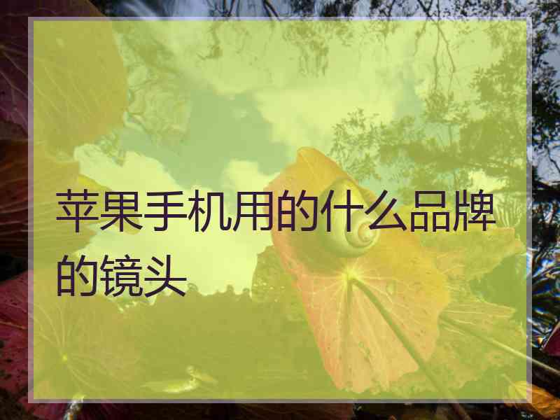 苹果手机用的什么品牌的镜头