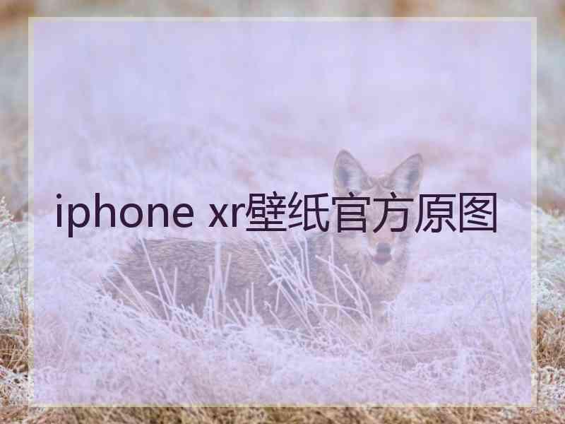 iphone xr壁纸官方原图