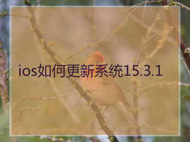 ios如何更新系统15.3.1