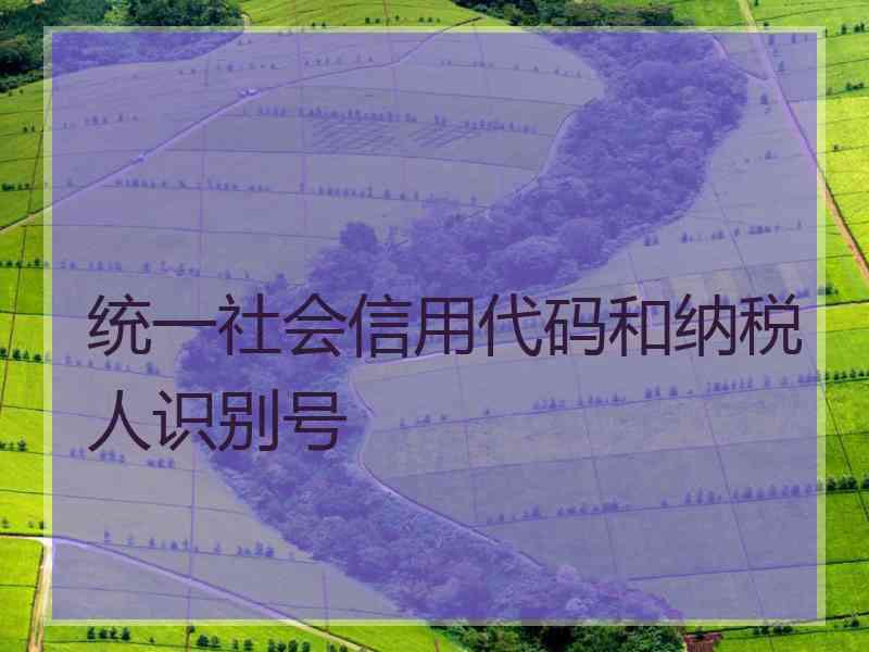 统一社会信用代码和纳税人识别号