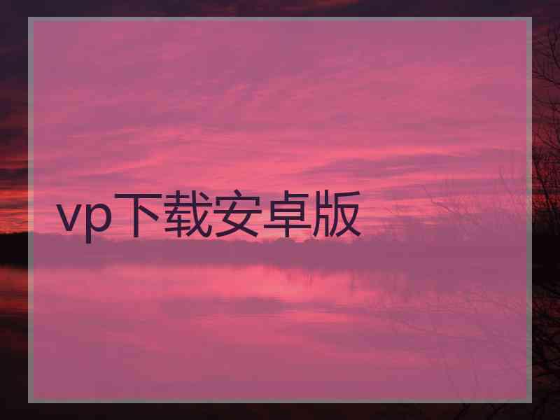 vp下载安卓版