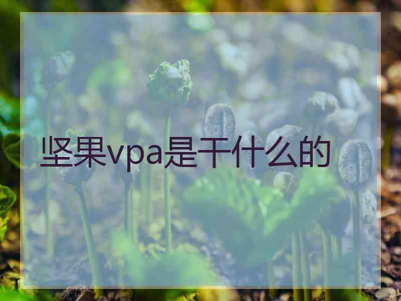 坚果vpa是干什么的