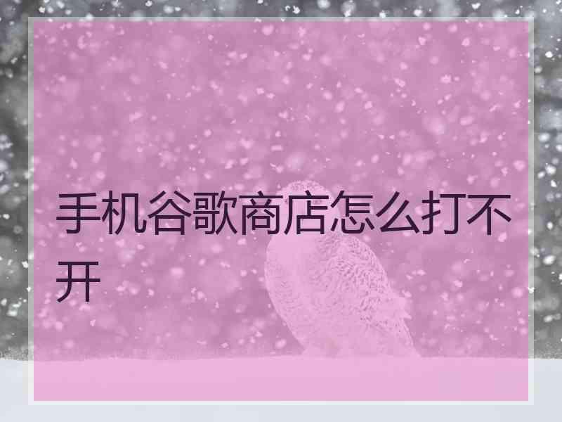 手机谷歌商店怎么打不开