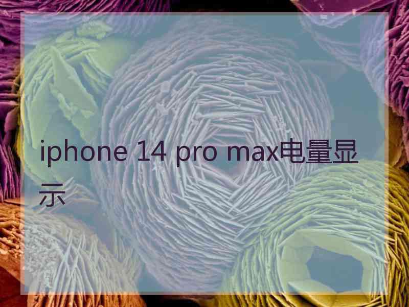 iphone 14 pro max电量显示