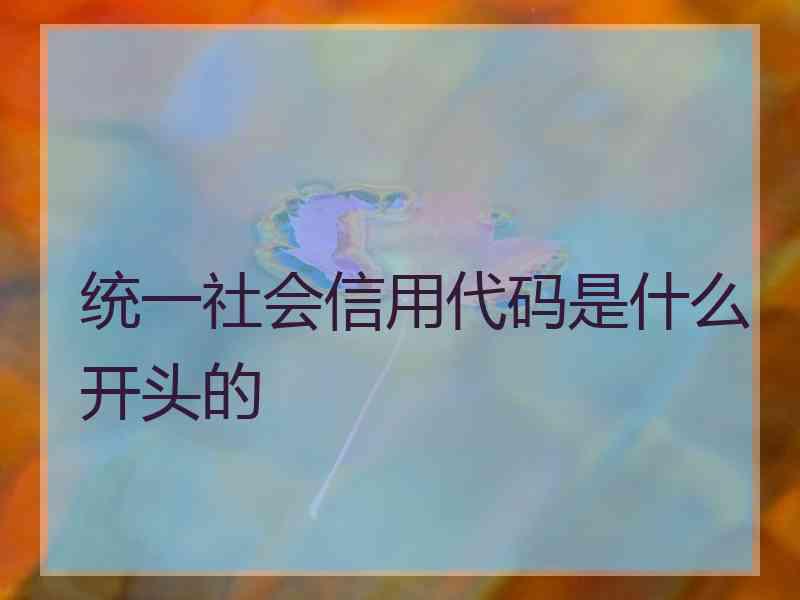 统一社会信用代码是什么开头的