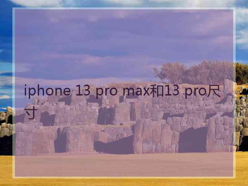 iphone 13 pro max和13 pro尺寸