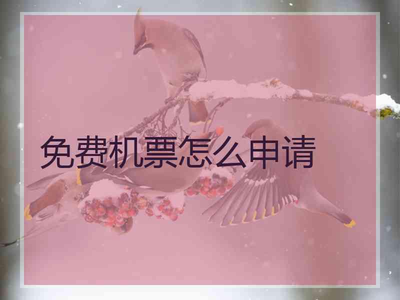 免费机票怎么申请