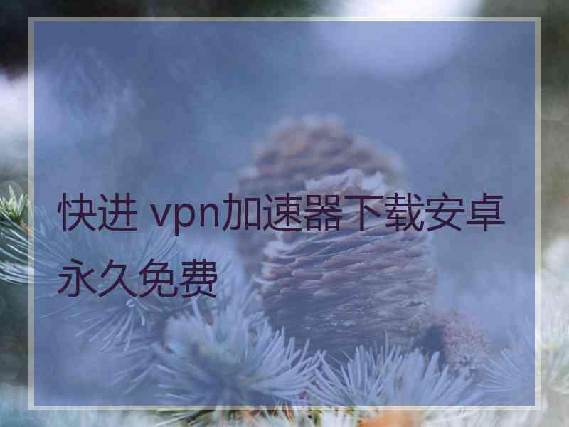 快进 vpn加速器下载安卓永久免费