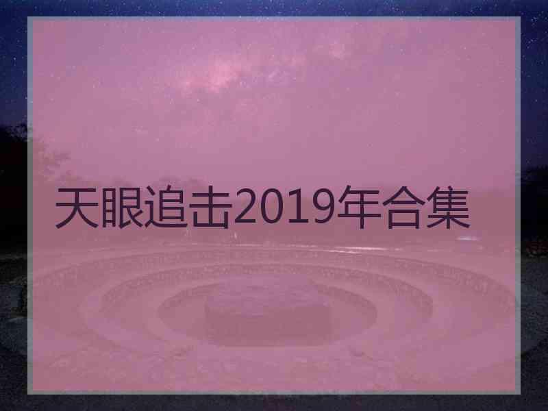 天眼追击2019年合集