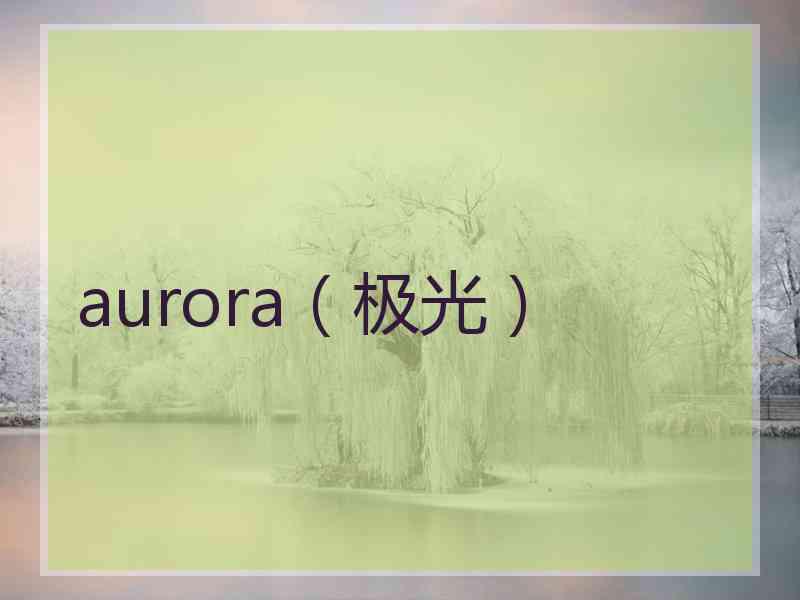 aurora（极光）