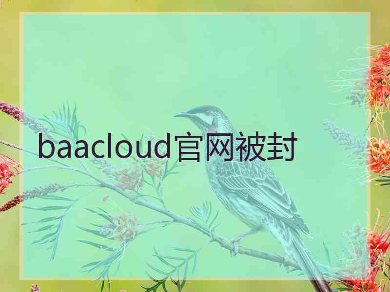 baacloud官网被封