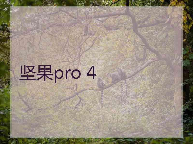 坚果pro 4