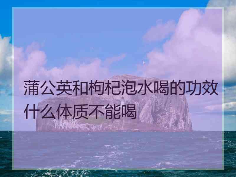 蒲公英和枸杞泡水喝的功效什么体质不能喝