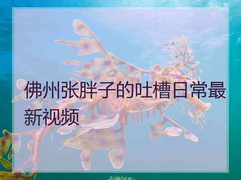 佛州张胖子的吐槽日常最新视频