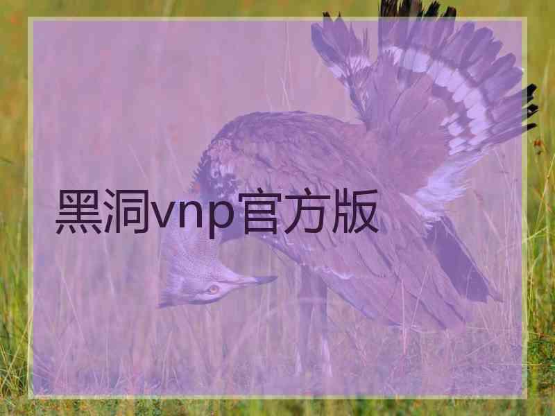 黑洞vnp官方版