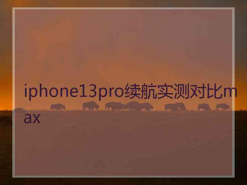 iphone13pro续航实测对比max