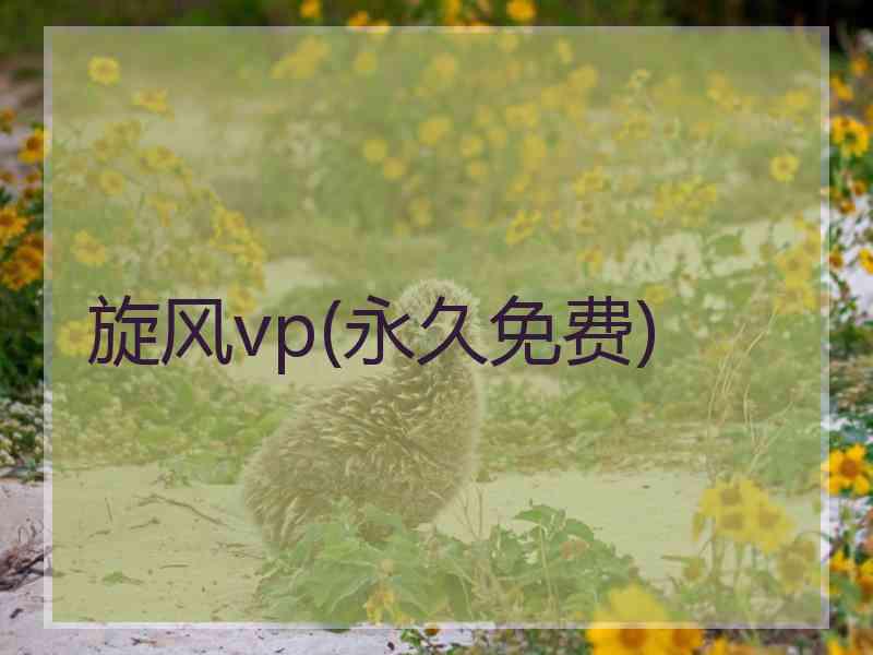 旋风vp(永久免费)