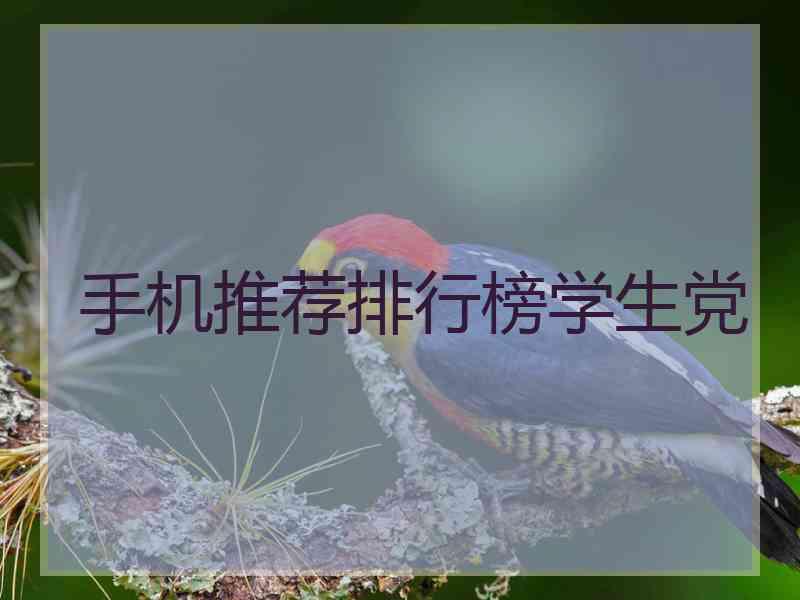 手机推荐排行榜学生党