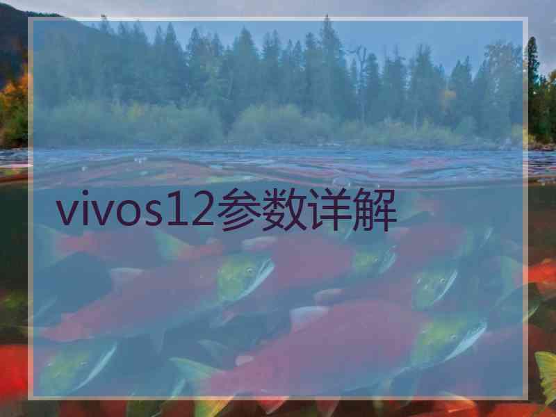 vivos12参数详解