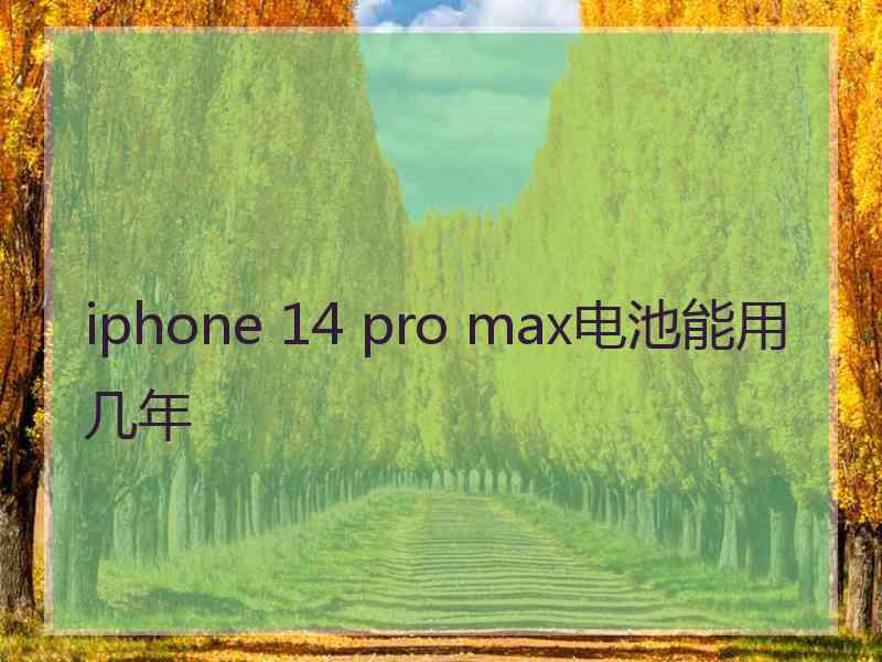 iphone 14 pro max电池能用几年