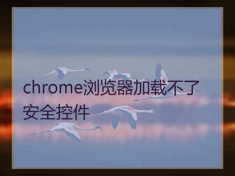 chrome浏览器加载不了安全控件