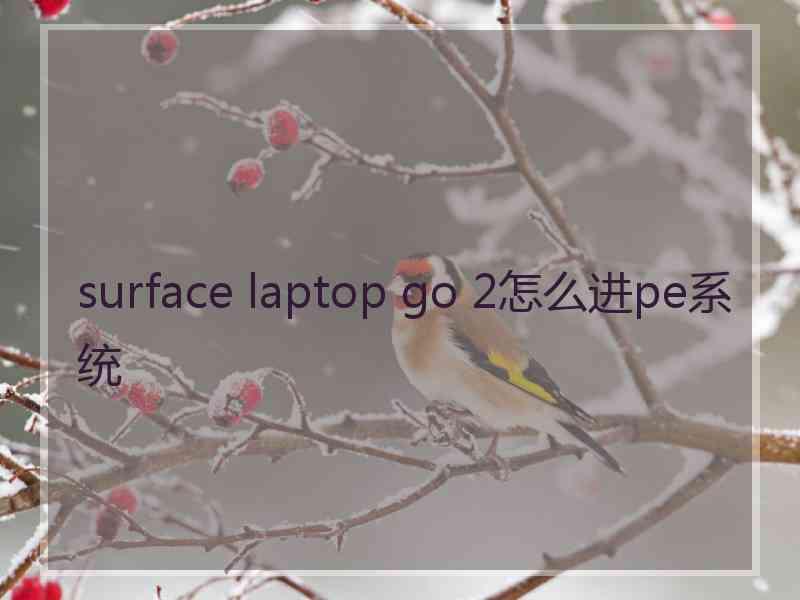 surface laptop go 2怎么进pe系统