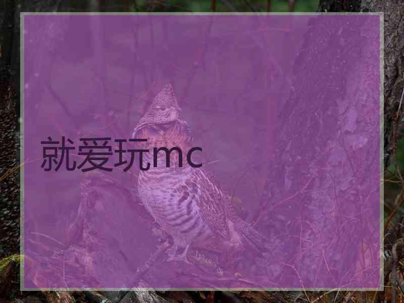 就爱玩mc