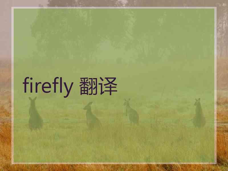 firefly 翻译