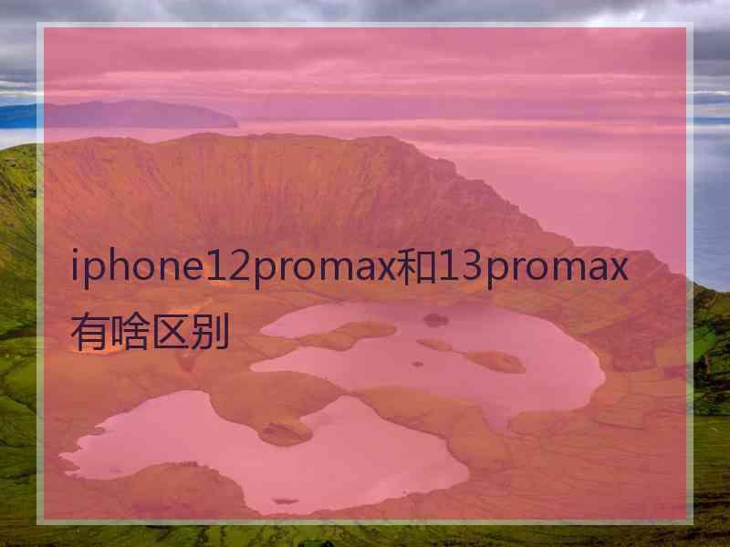 iphone12promax和13promax有啥区别