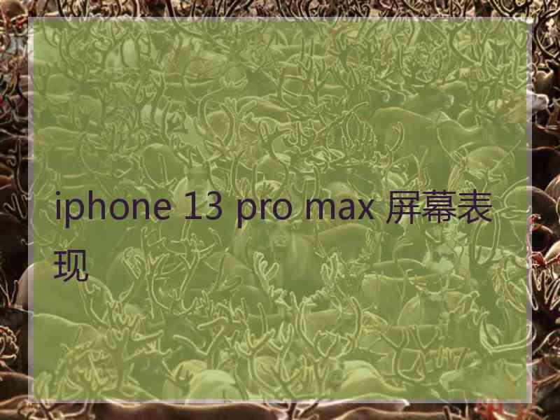 iphone 13 pro max 屏幕表现